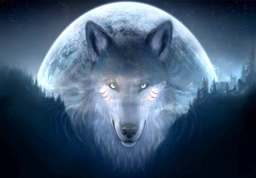 awesome-anime-wolf-backgrounds-cool-fire-wolf-backgrounds.jpg