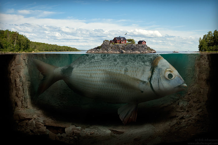 fishy_island_by_alltelleringet.jpg